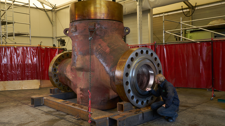 30" Globe Valves